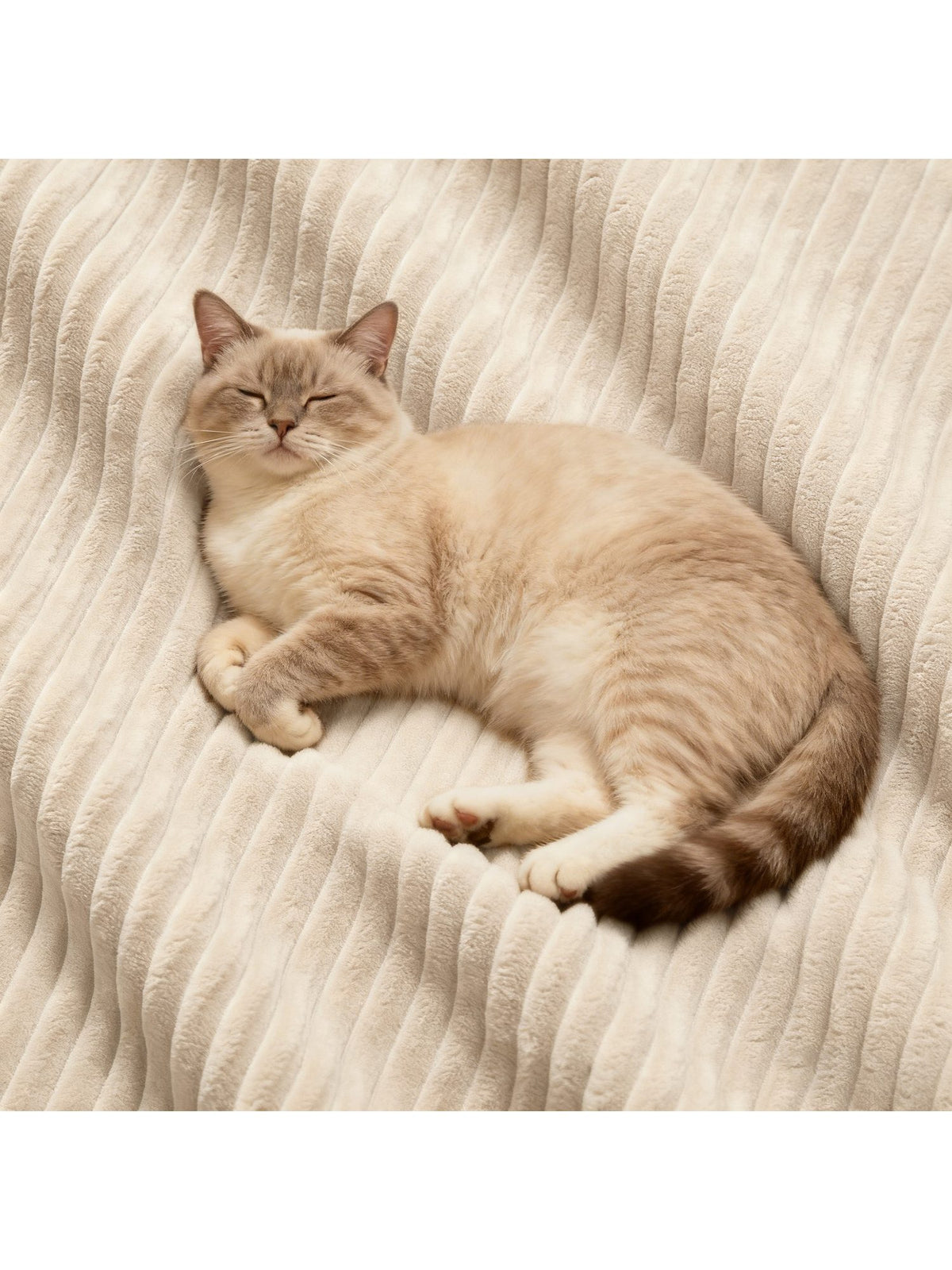 Beiger Cordbezug des Boneless Sofas in Nahaufnahme