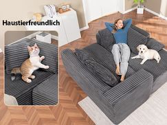 Haustierfreundlicher Cordstoff des modularen Ecksofas
